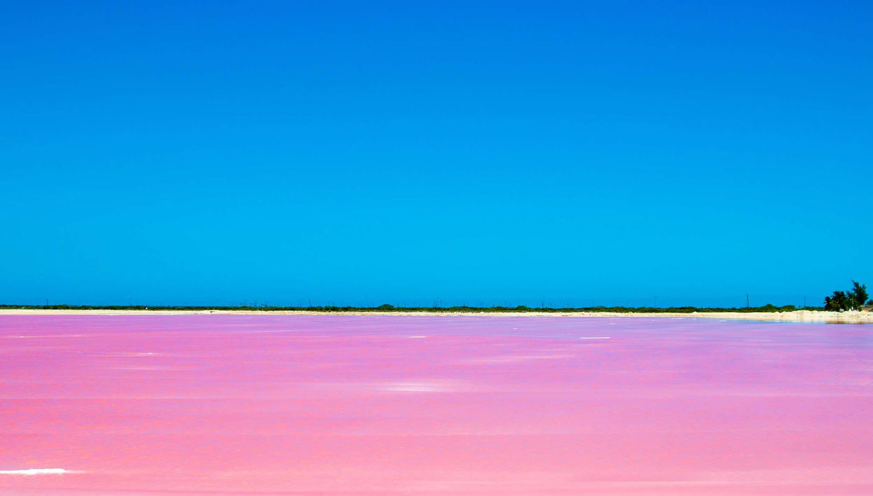 Las Coloradas Natural Park Trip