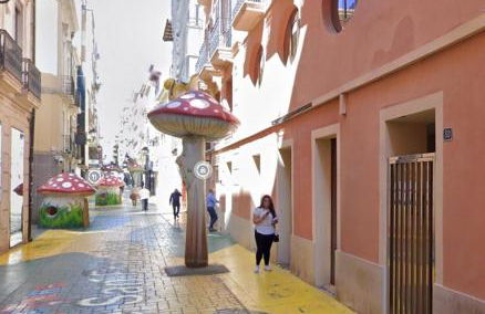 Big Terrace in private Loft on San Francisco street - Photo 49
