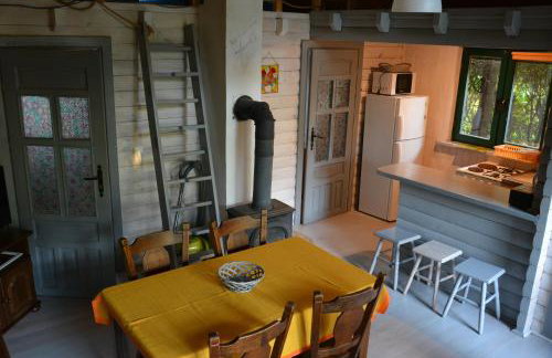 Domki nad Jeziorem Ołów - Foto 43