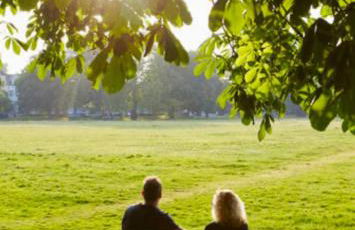 Family Studio Garden view 5min to Elizabeth Line - Foto 36