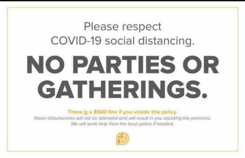 Lincoln Park Light-Filled Loft - Foto 18