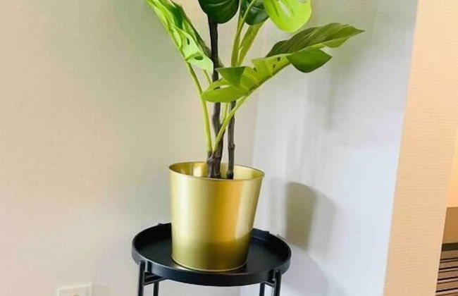 Luxury New Flat with Terrace & Parking - Photo 9