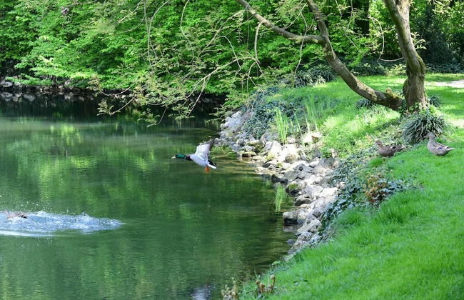 Agriturismo Cascina Farisengo - Foto 24