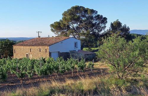 Domaine Saint Augustin - Foto 14