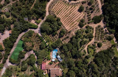 villa Tenute La jacia a San Pantaleo - Foto 19