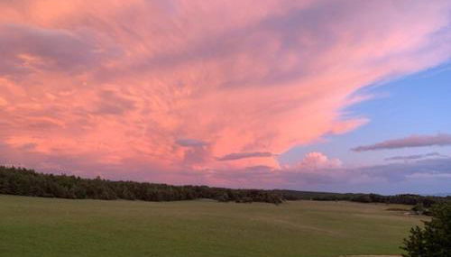 Le Moulin aux Lavandes - Foto 2