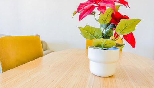 Appartement lumineux à 2 mins à pied de la gare - Foto 4