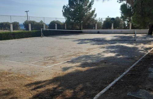 Costa Mama VIlla - Photo 61