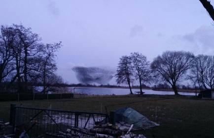 Ferienwohnung am Sandwater - Foto 14