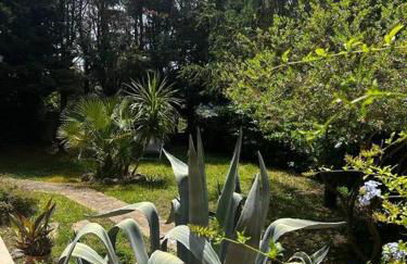 Tranquillo appartamento immerso nel verde - Foto 6