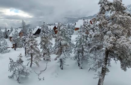 Les myrtilles La Pierre Saint Martin - Foto 3