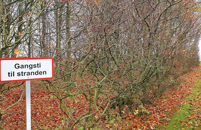 Cozy Coastal Cottage at Jegindo-by Traum - Foto 23