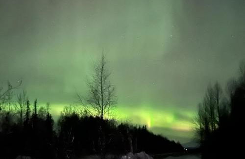 Historic Chulitna River Lodge - Foto 54