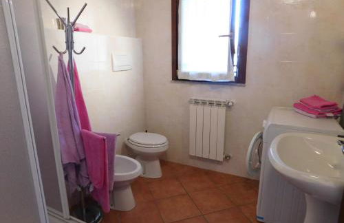 Rosmarino 2 - Foto 20