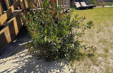 Cottage 4-6 pers-piscine chauffée-150m plage - Foto 7