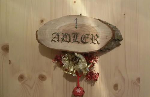 Virtus Et Otium - Feldererhof - Foto 20