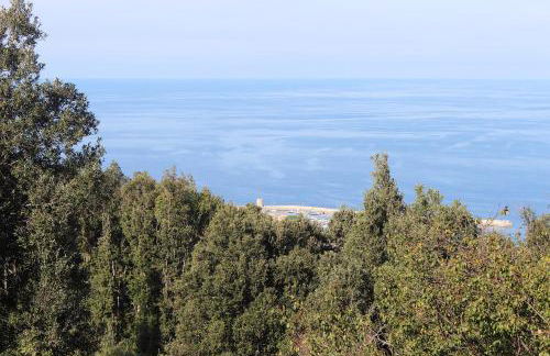 Country House Tagliaferro - Foto 7