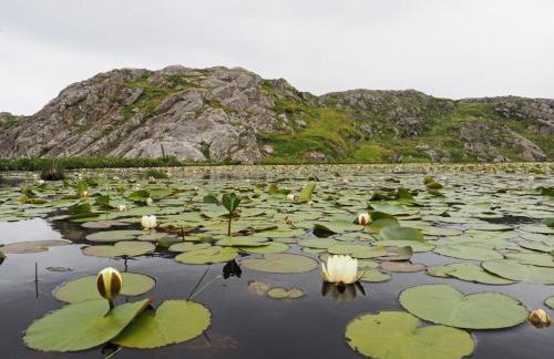 Old Post Office - Foto 32