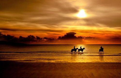 BestHomeStay- Caparica Beach Lisbon - Photo 61