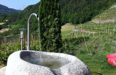 Appartements Toni - Foto 13