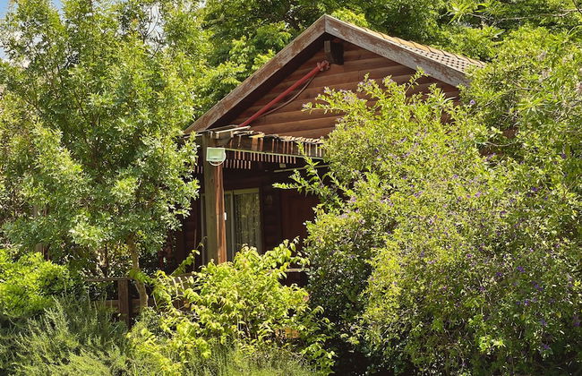 Nofey Habashan - Foto 71