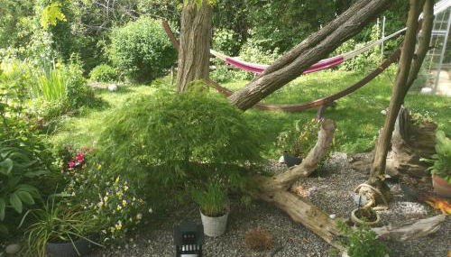 Apartment Green Elephant - Foto 3, Garden