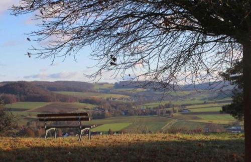 Large Detached Holiday Home in Hesse With Private Garden and Terrace - Foto 71