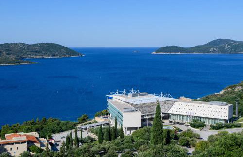 Apartment MARIO - veliki stan za odmor - terasa- vrt - bazen - pogled more, izoliran - Photo 40