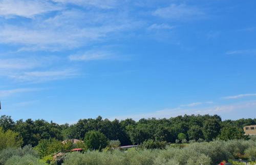 Apartments Mary - Foto 14