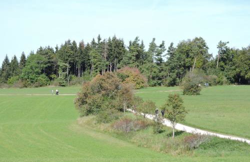 Ferienwohnungen Kätzlehaus - Foto 8