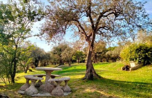 A CASA DI OLIVO - Foto 43