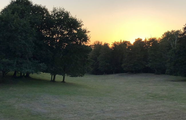 Château de Lannouan - Foto 35