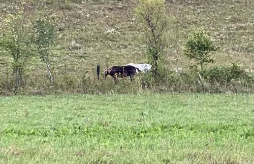 Sleeps 5-6 Near RRG-Hot Tub-Nice Sunrise-Quiet - Foto 62