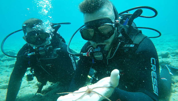 Contemplando a flora e fauna submarina de Creta