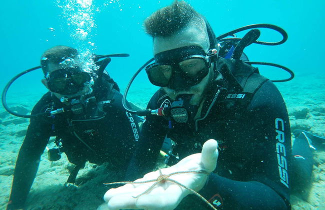 Immersione per principianti ad Agia Pelagia - Foto 2