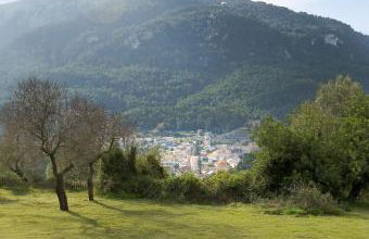 La Zalema - Photo 13