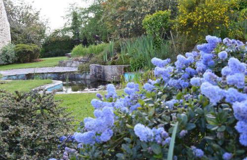 Gîtes au Clos du Lit - Photo 11