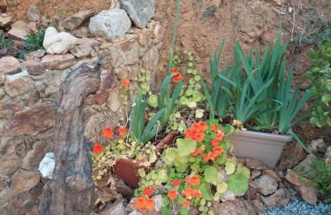 Inteserras - Foto 28