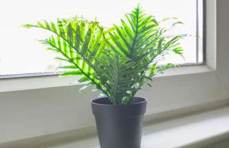 Andrew House - Foto 12