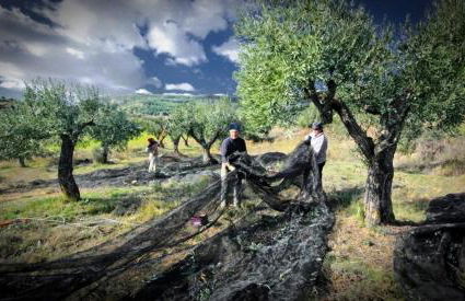 Alojamiento Rural La Cañada - Foto 107