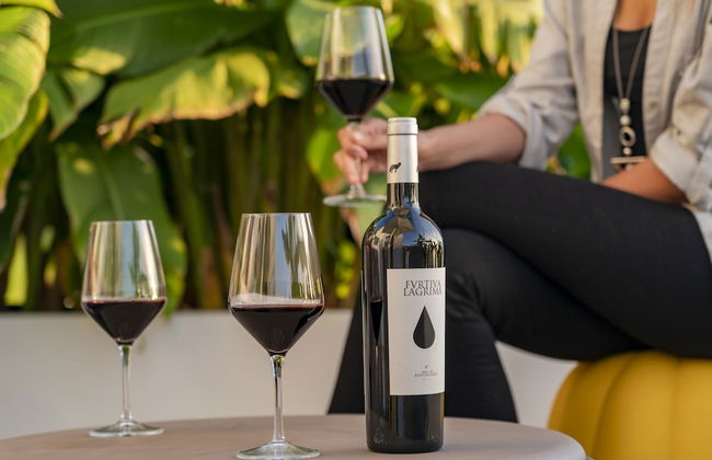 Casa da Vargem II, With Swimming Pool - Photo 37