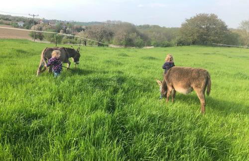 Laufenten Loft - Gutshof Dobschütz Bauernhof - Foto 8