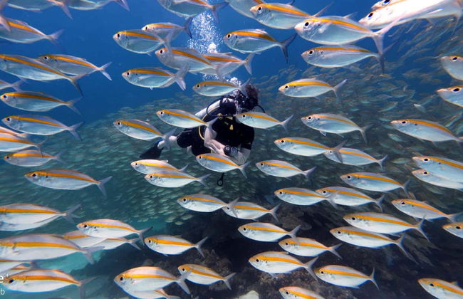 Diving in Racha Yai - Photo 6