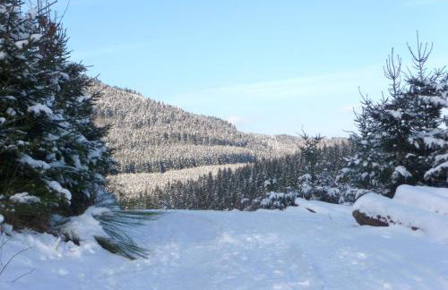 Ferienwohnung Quinkert - Foto 26