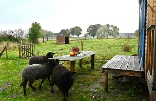 Autarker Schäferwagen mit Kamin ganzjährig nutzbar - Foto 25