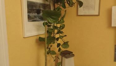 apartamento céntrico zona Marques de comillas 8 - Foto 5