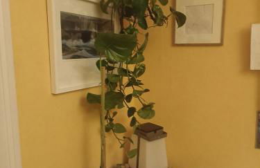 apartamento céntrico zona Marques de comillas 8 - Foto 5