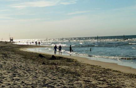 Hund im Glück - Foto 16