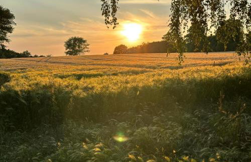 Superior Relax und Wellness Landhaus - Foto 11