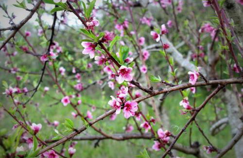 Agriturismo Fonte Belvedere - Foto 48